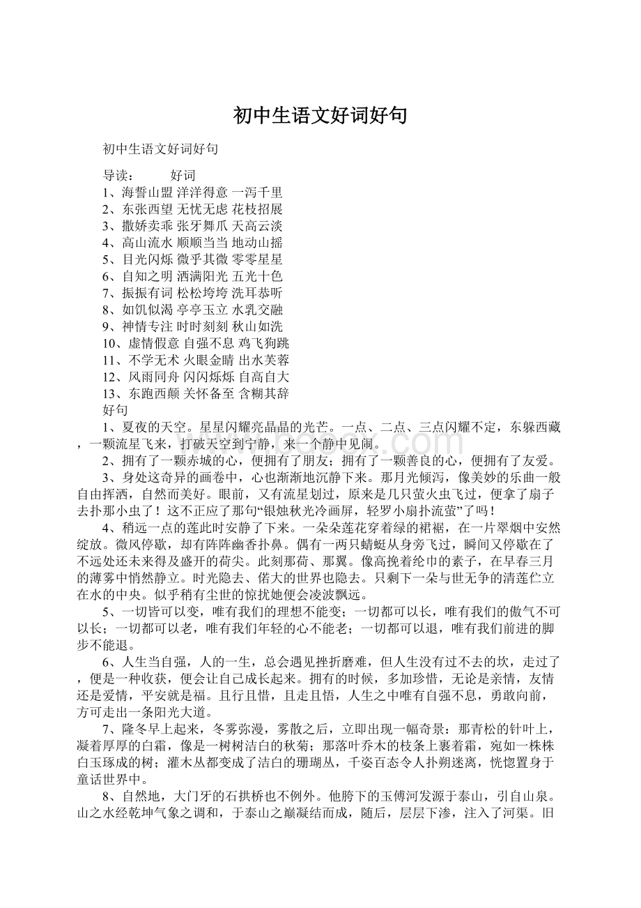 初中生语文好词好句Word文档下载推荐.docx