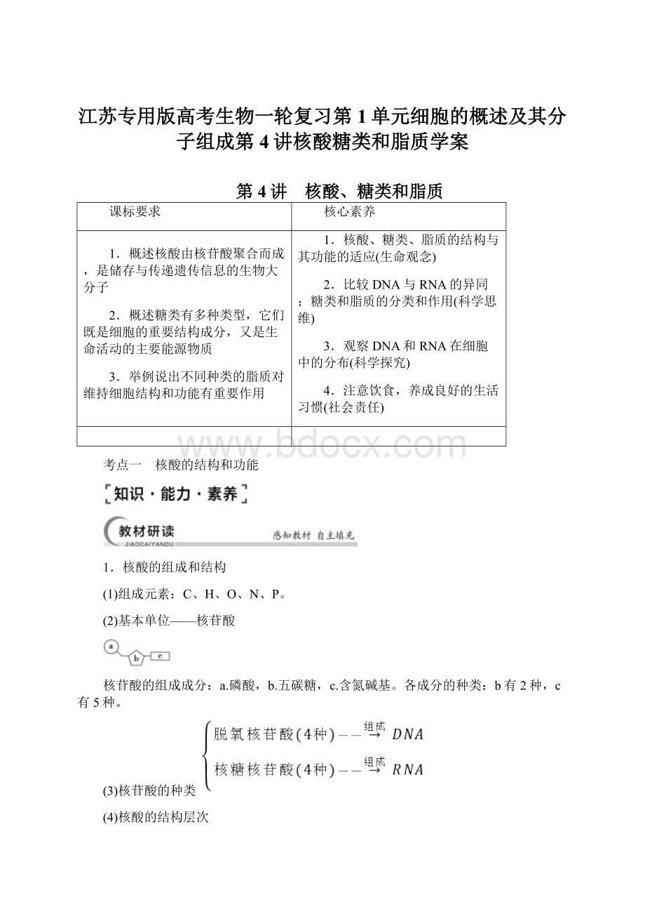 江苏专用版高考生物一轮复习第1单元细胞的概述及其分子组成第4讲核酸糖类和脂质学案.docx