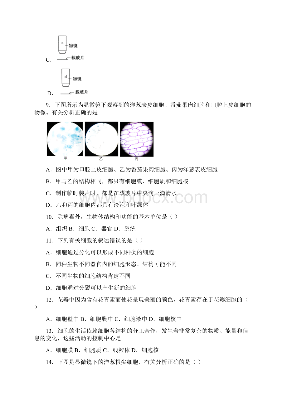 北京市海淀区学年七年级上学期期末生物试题Word文档格式.docx_第3页