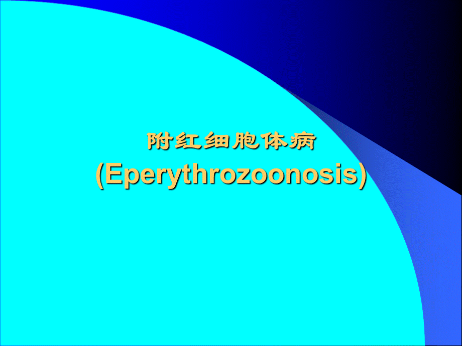 附红细胞体病Eperythrozoonosis.pptx