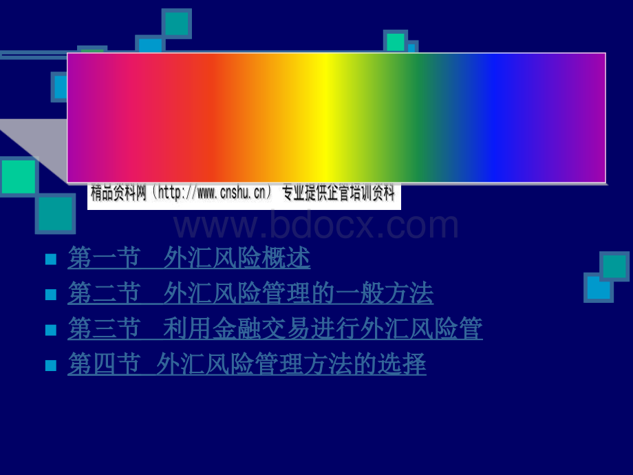 外汇风险管理方案介绍.pptx