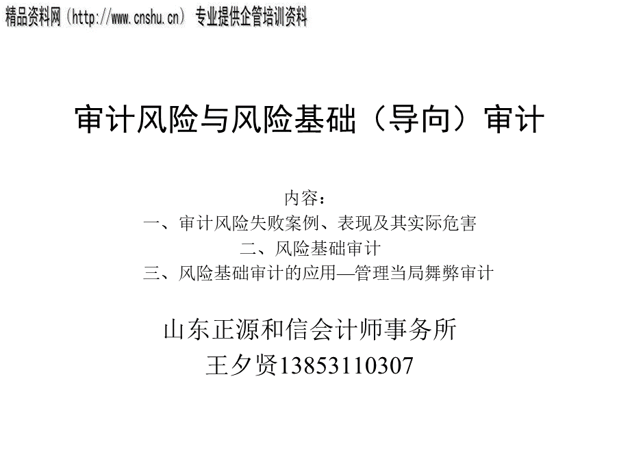 审计风险与风险导向审计.pptx