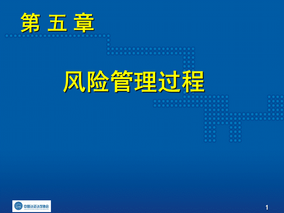 五_风险管理过程_CEPPT.pptx_第1页