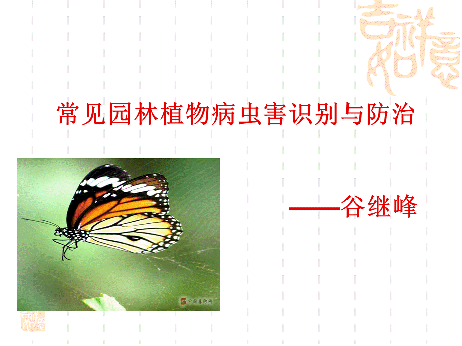 常见园林植物病虫害防治.ppt