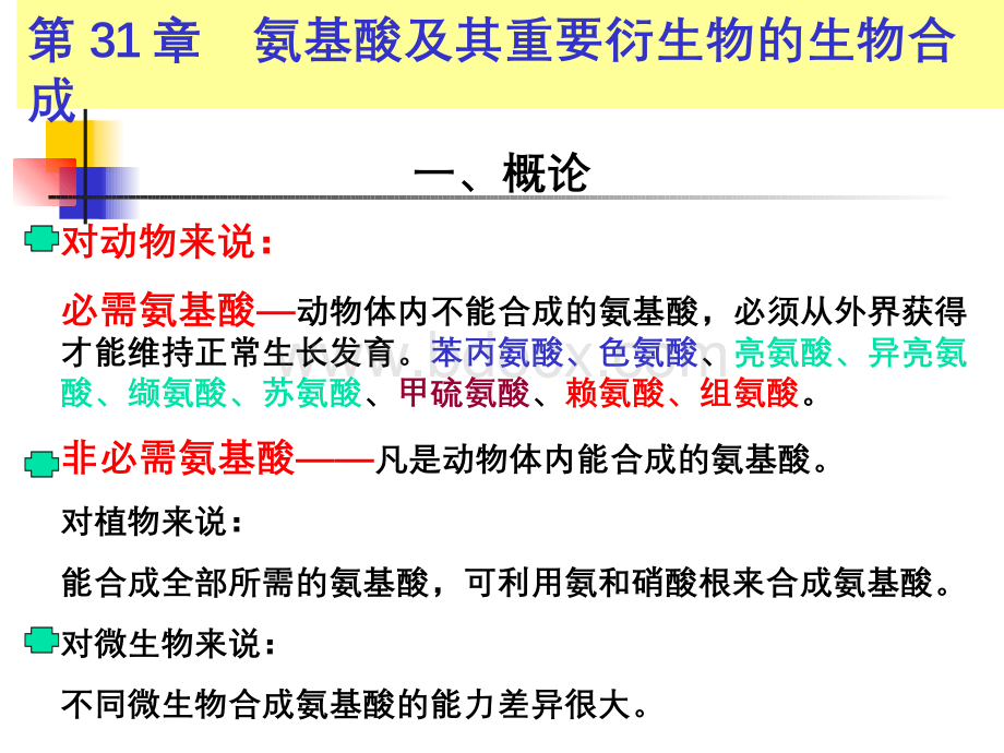 氨基酸的生物合成.ppt