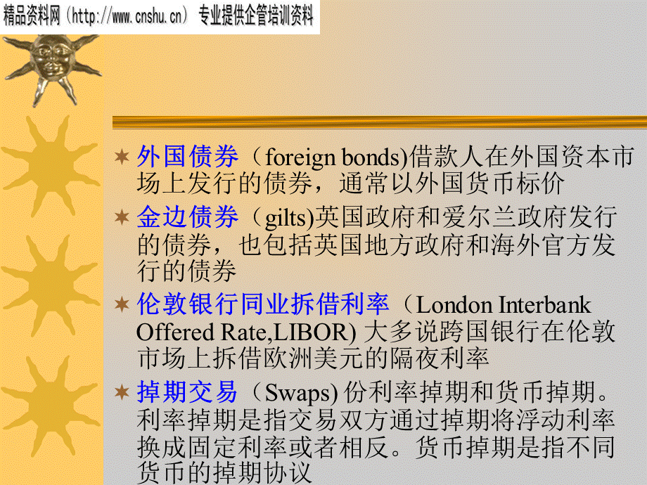 跨国公司财务专业知识讲义.pptx_第3页