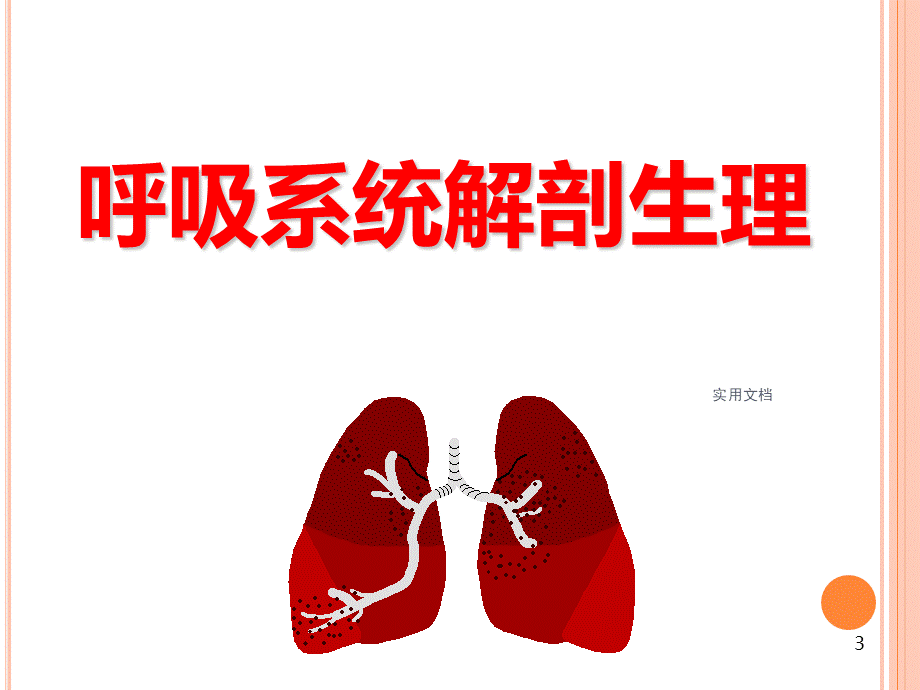 呼吸系统评估.ppt_第3页