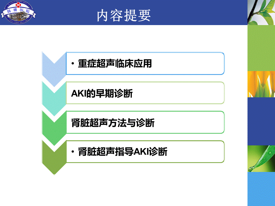 肾脏超声导向的aki早期诊断.pptx_第2页