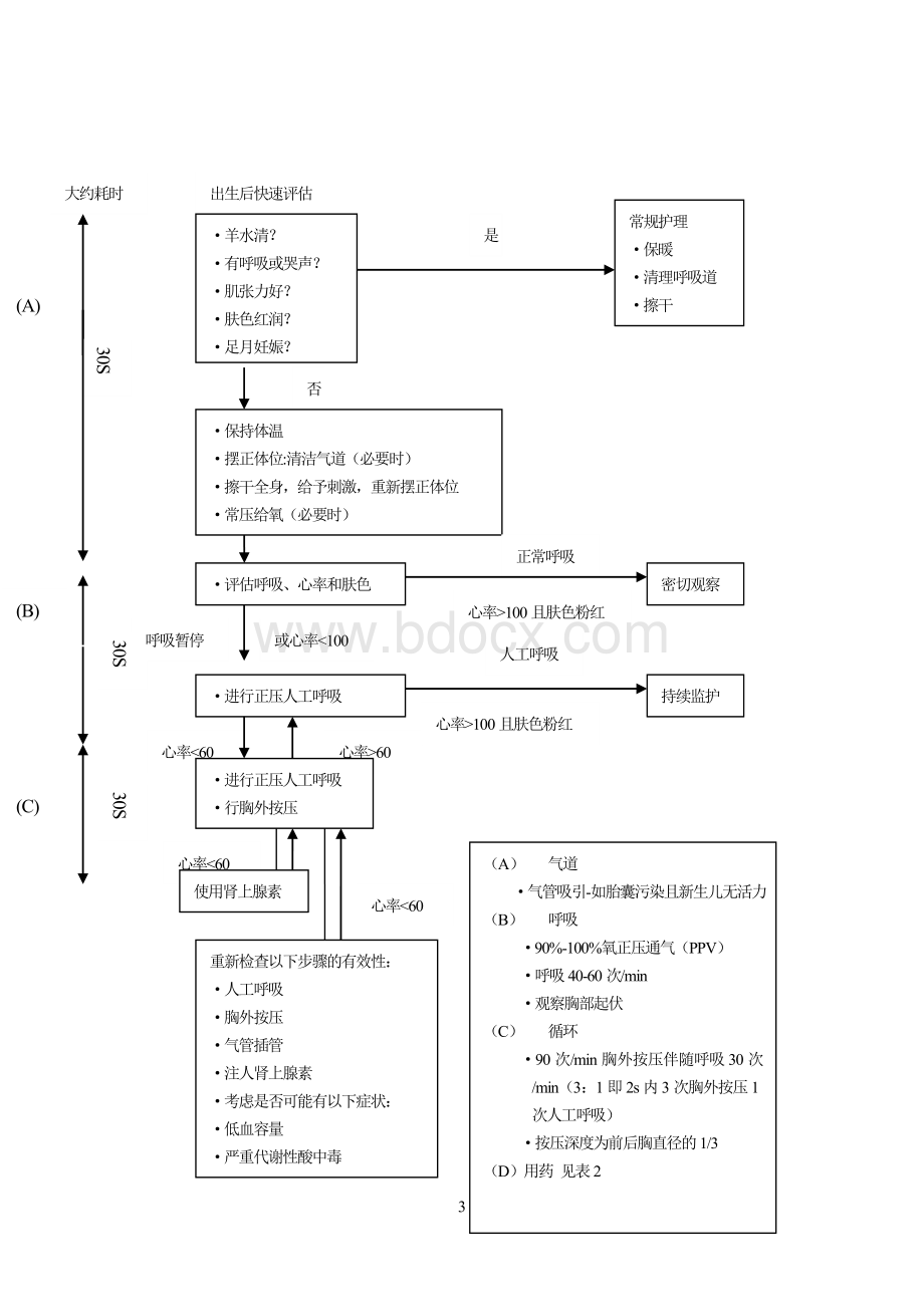 新生儿窒息复苏指南.doc_第3页