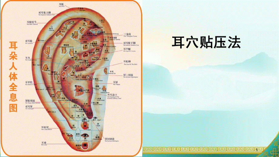 耳穴贴压更改版PPT精选课件.pptx