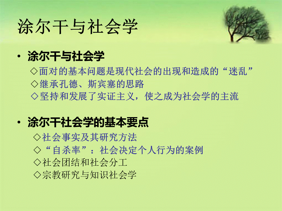 社会研究方法与涂尔干的自杀论.ppt_第3页