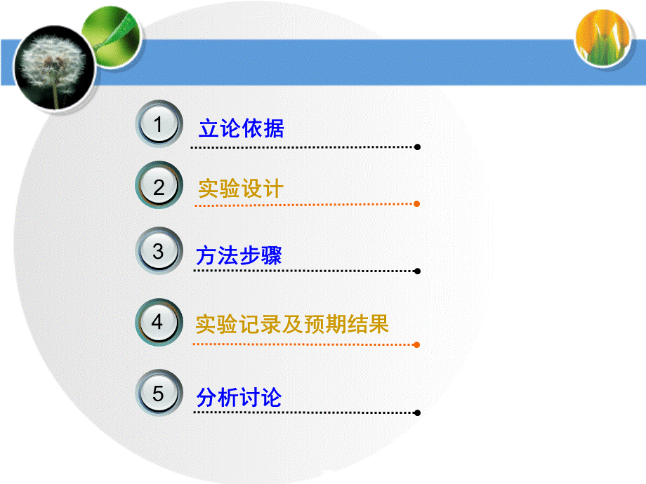 机能自主设计实验.ppt_第2页