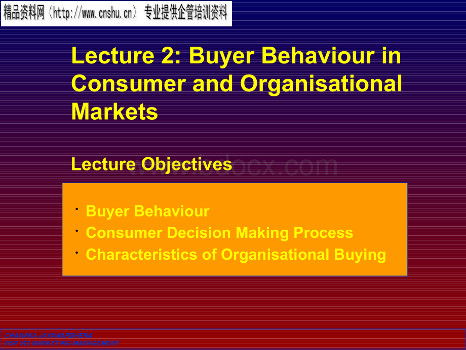 BuyerBehaviourinConsumerandOrganisationalMarkets英文版.pptx