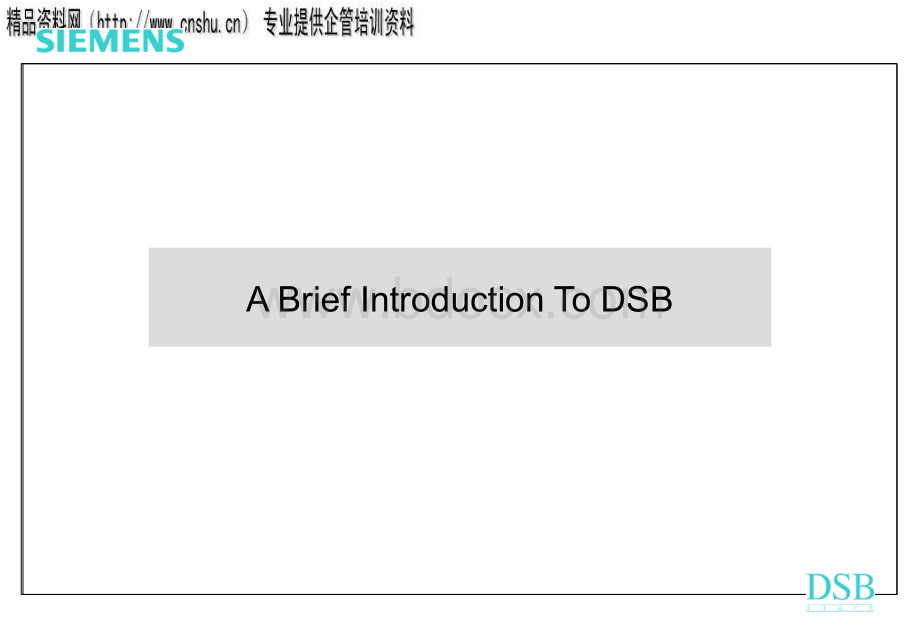 ABriefIntroductionToDSB英文版.pptx