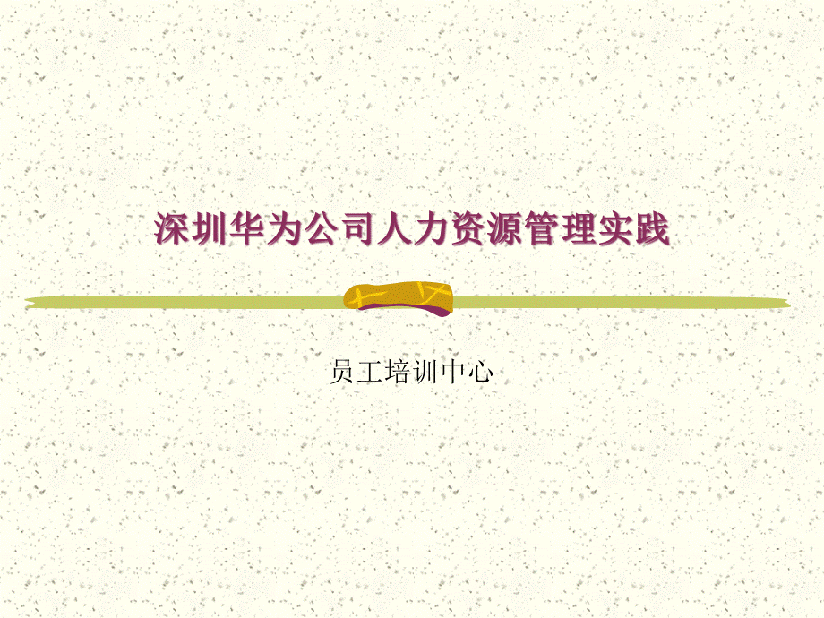 公司人力资源管理与实践.pptx