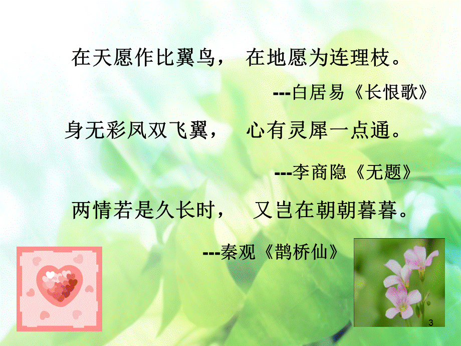 舒婷《致橡树》ppt课件.ppt_第3页