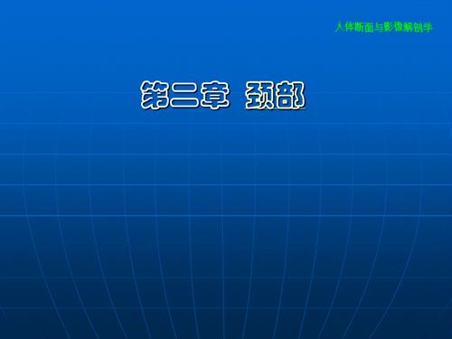 颈部断层解剖学.ppt