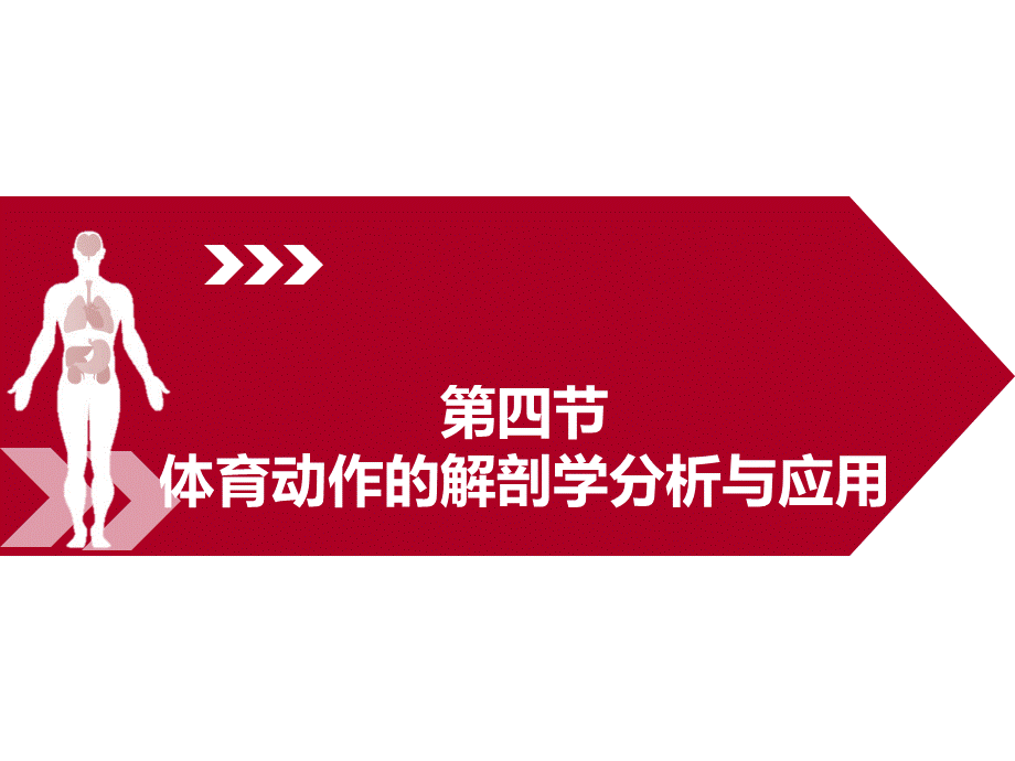 运动解剖学（李世昌）3.4体育动作的解剖学分析与应用.ppt