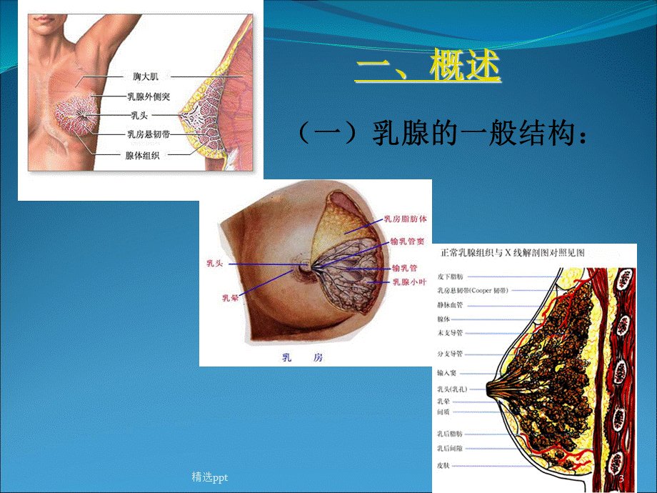 乳腺增生病ppt课件.pptx_第3页