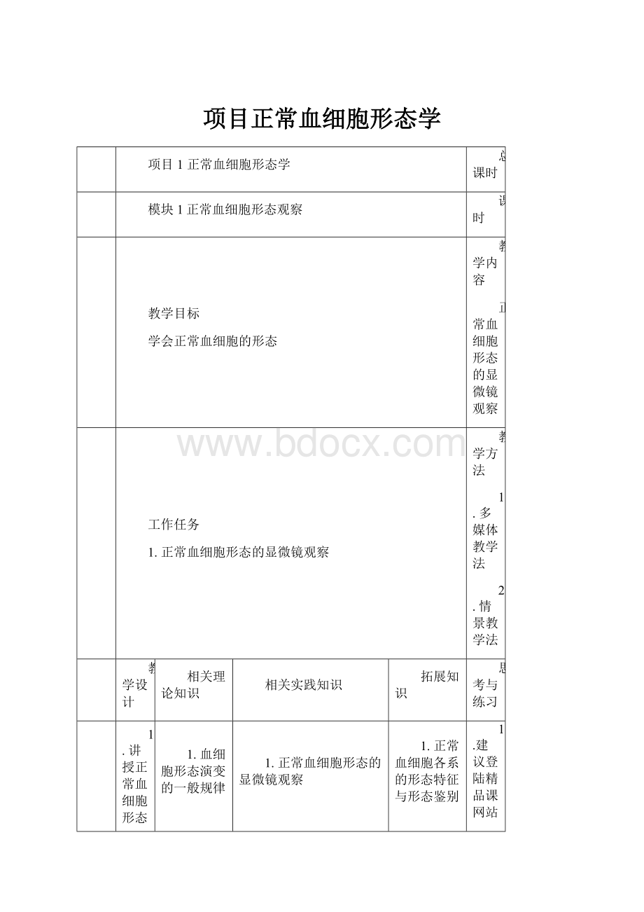 项目正常血细胞形态学Word文件下载.docx