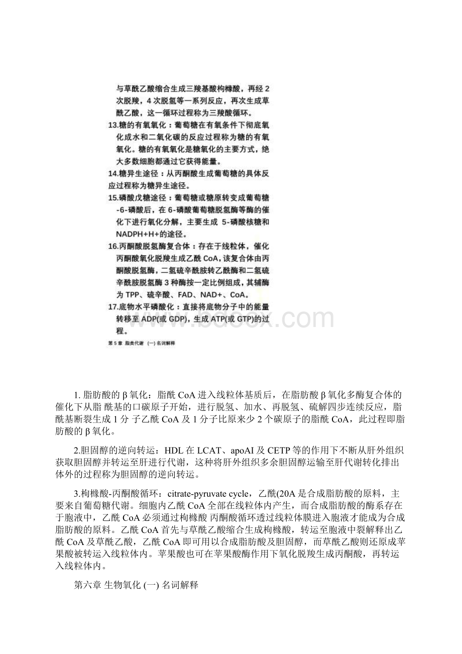 生化名词解释文档格式.docx_第3页