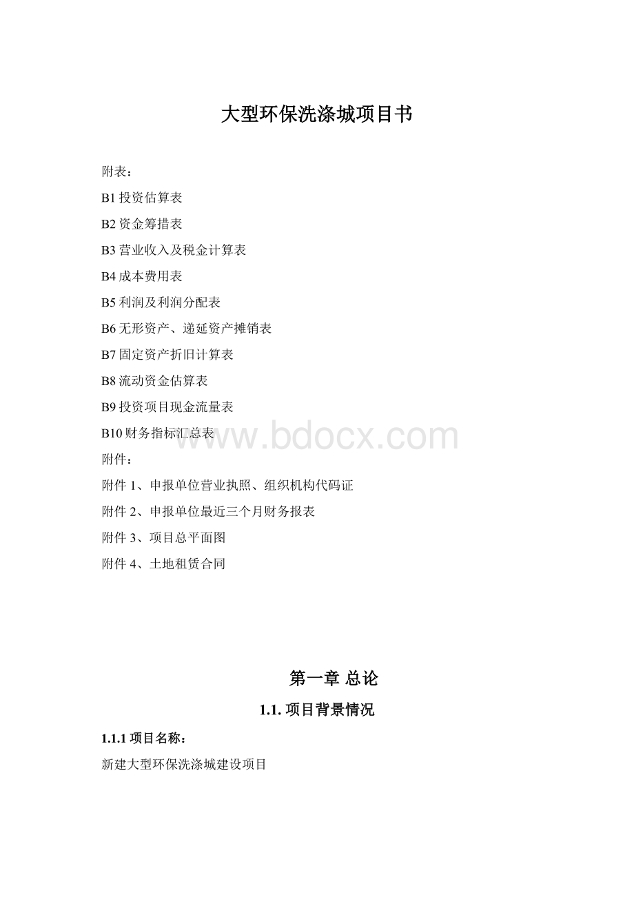 大型环保洗涤城项目书.docx_第1页