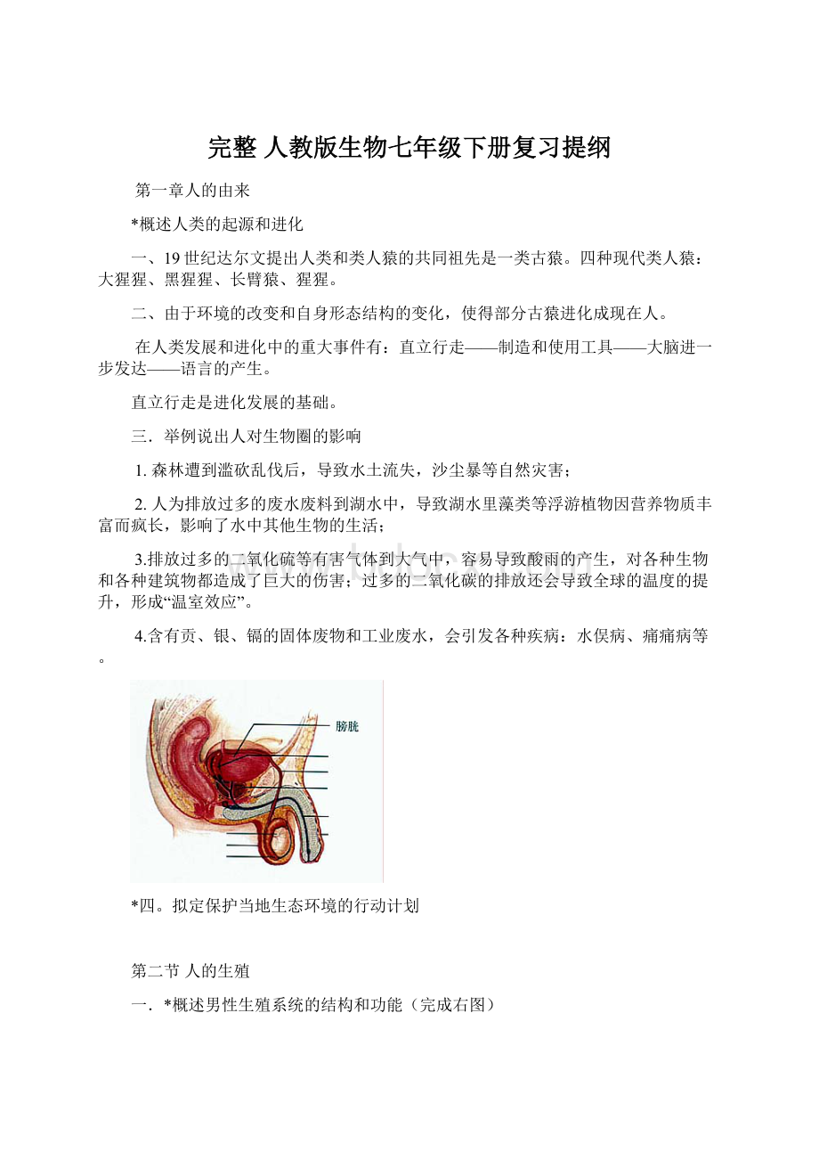 完整 人教版生物七年级下册复习提纲.docx_第1页