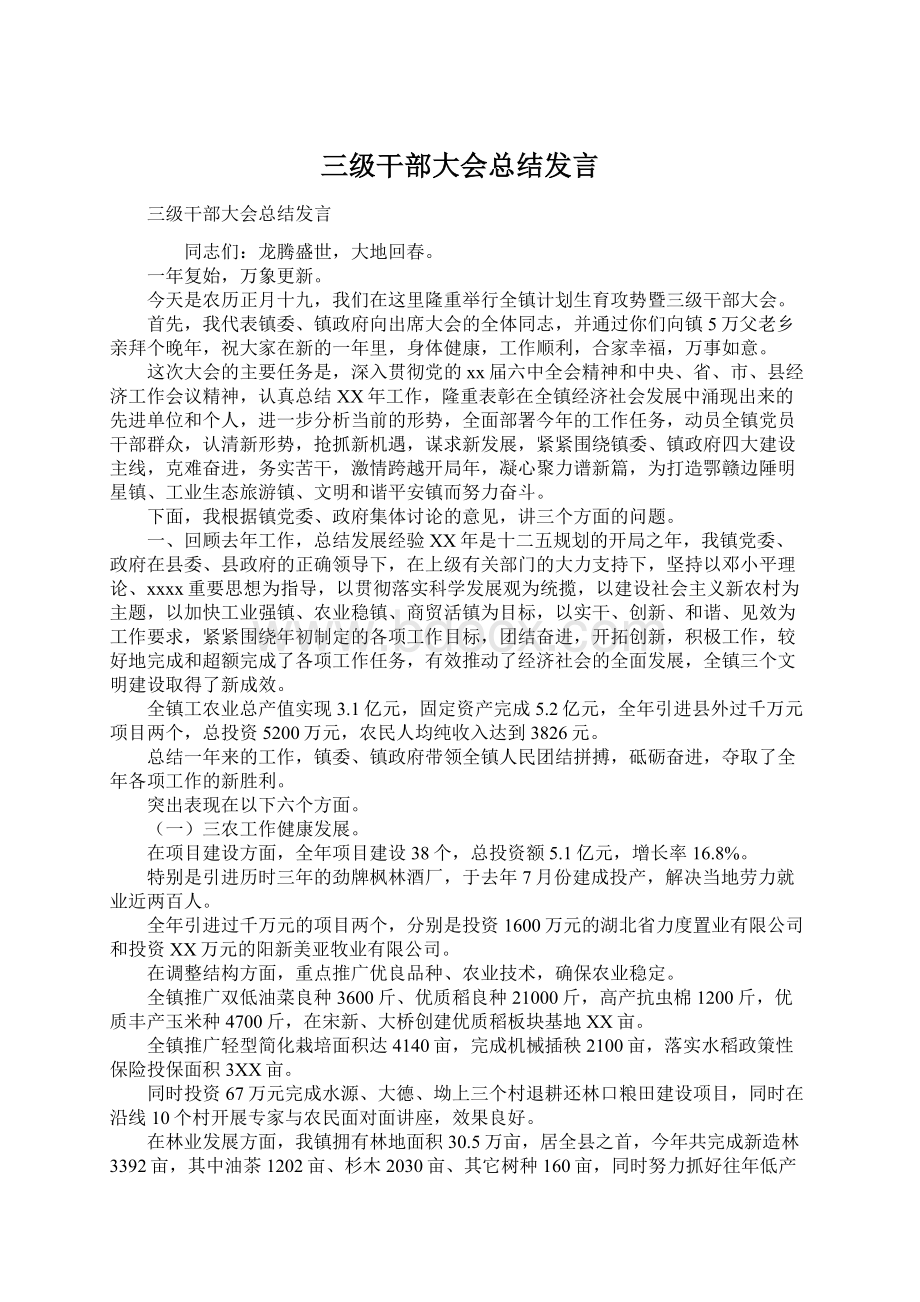 三级干部大会总结发言.docx_第1页