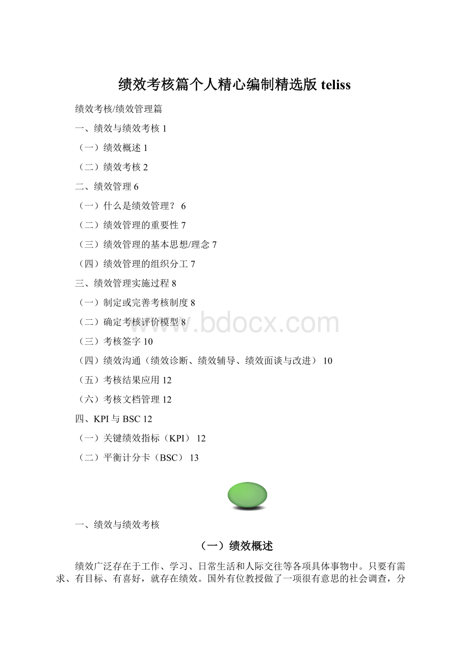 绩效考核篇个人精心编制精选版telissWord文档格式.docx