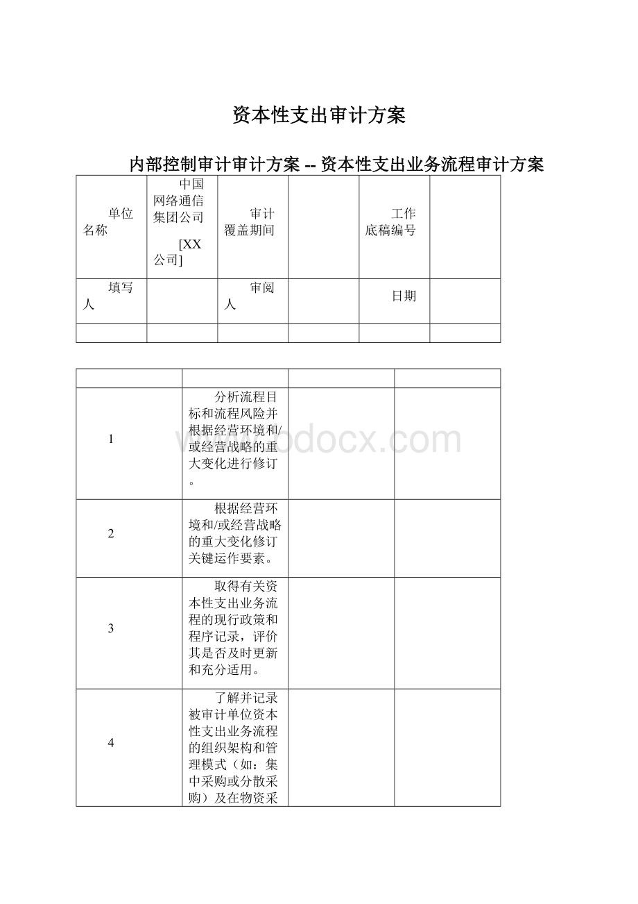 资本性支出审计方案文档格式.docx_第1页