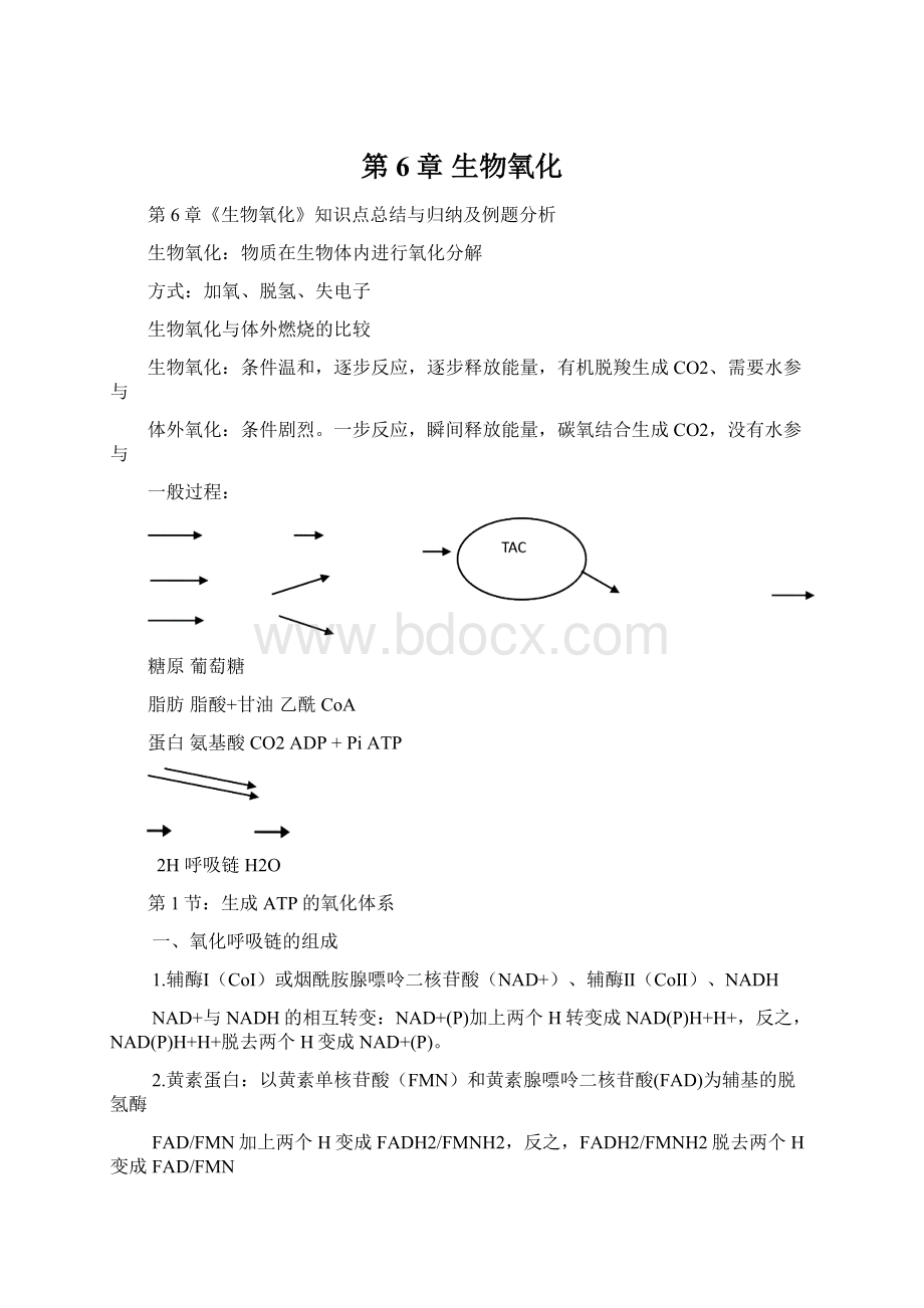 第6章 生物氧化.docx_第1页