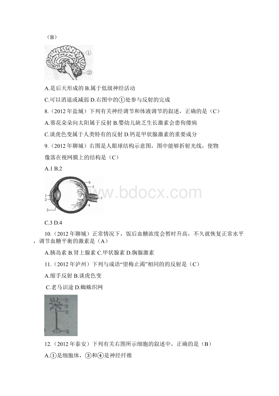 中考生物试题精编解析中考生物试题分考点汇编人体生命活动的调节.docx_第2页