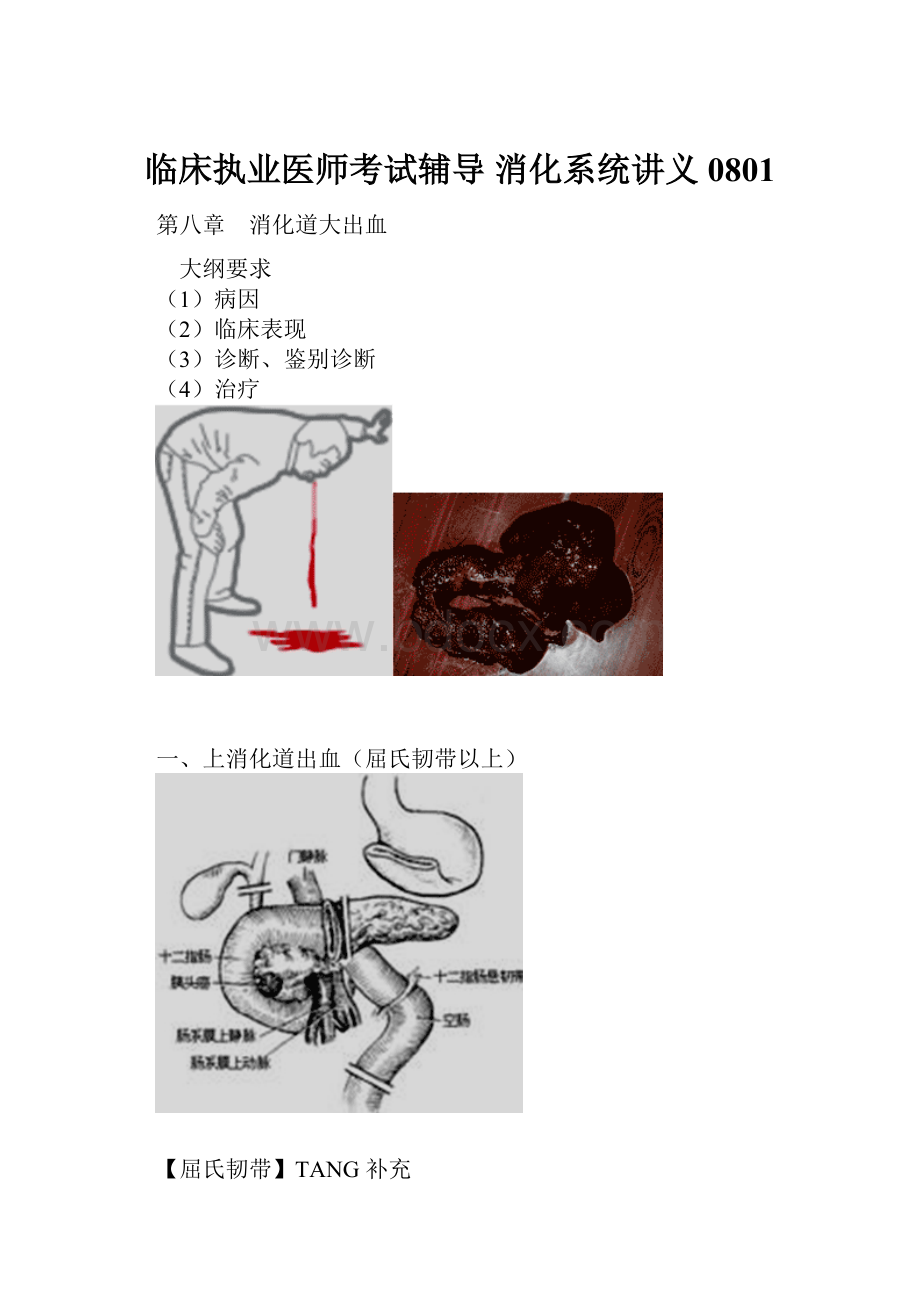 临床执业医师考试辅导 消化系统讲义0801.docx