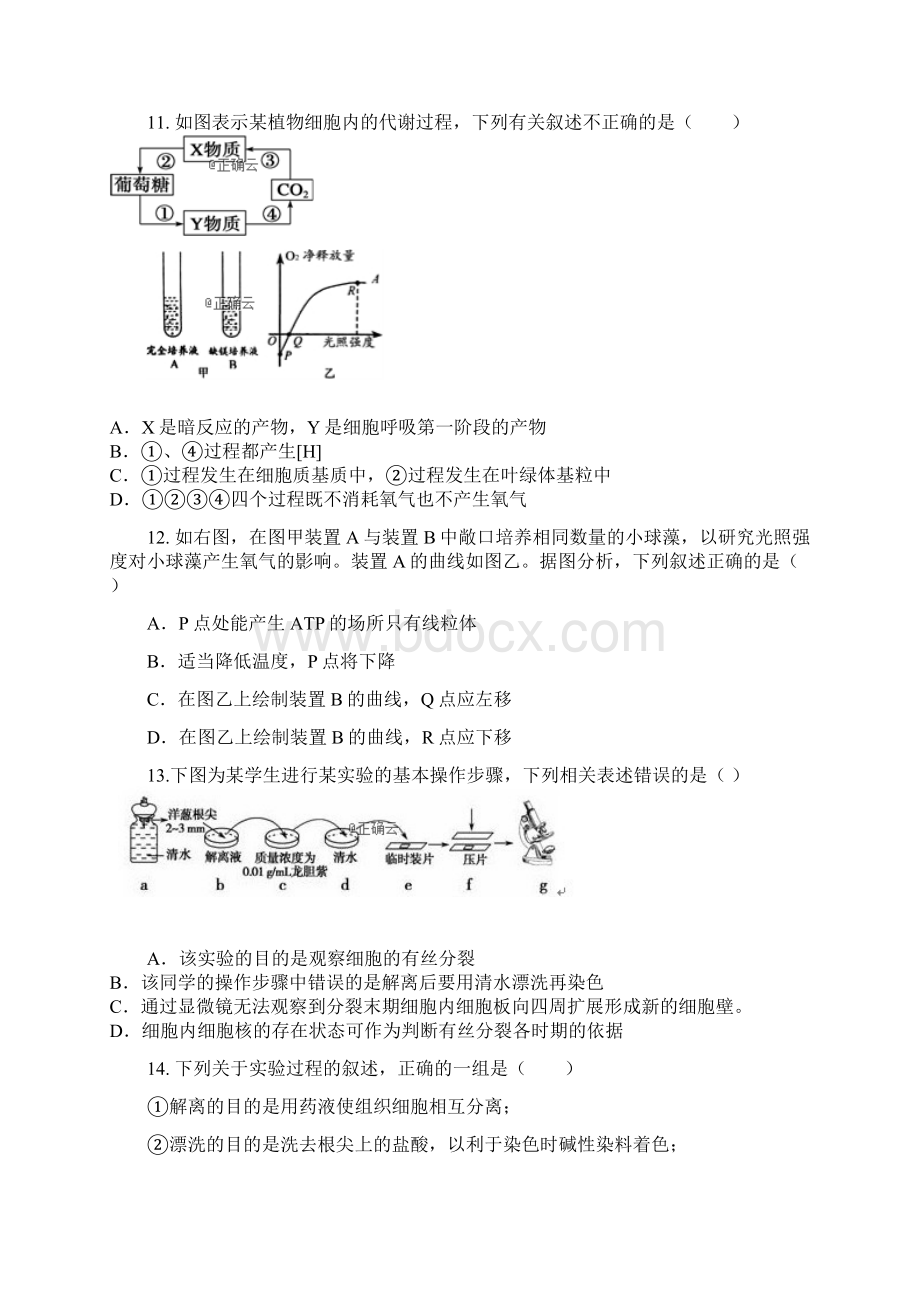 辽宁省大连市旅顺口区学年高一生物下学期月考试题.docx_第3页