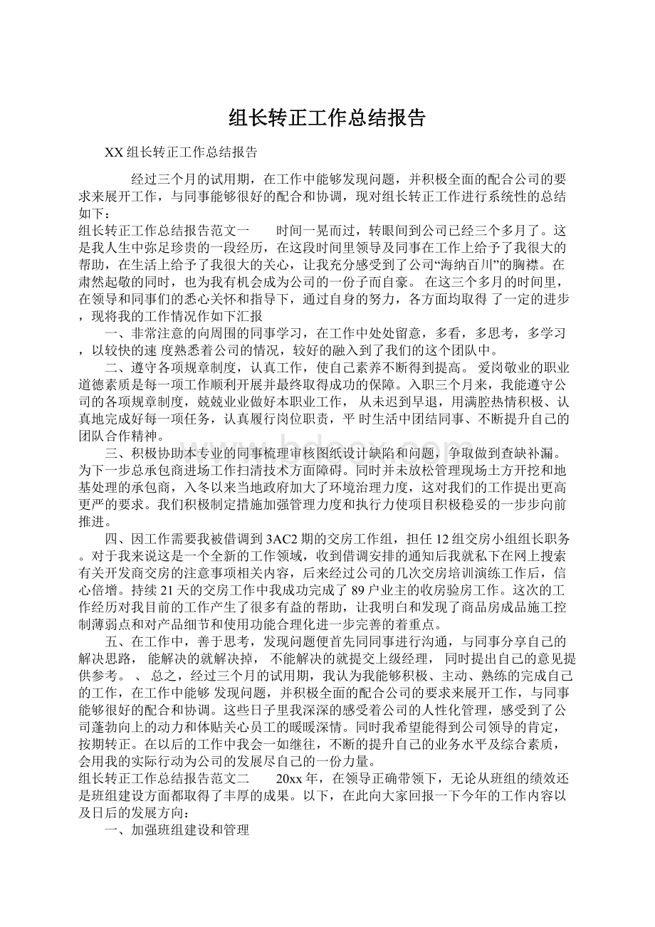 组长转正工作总结报告.docx