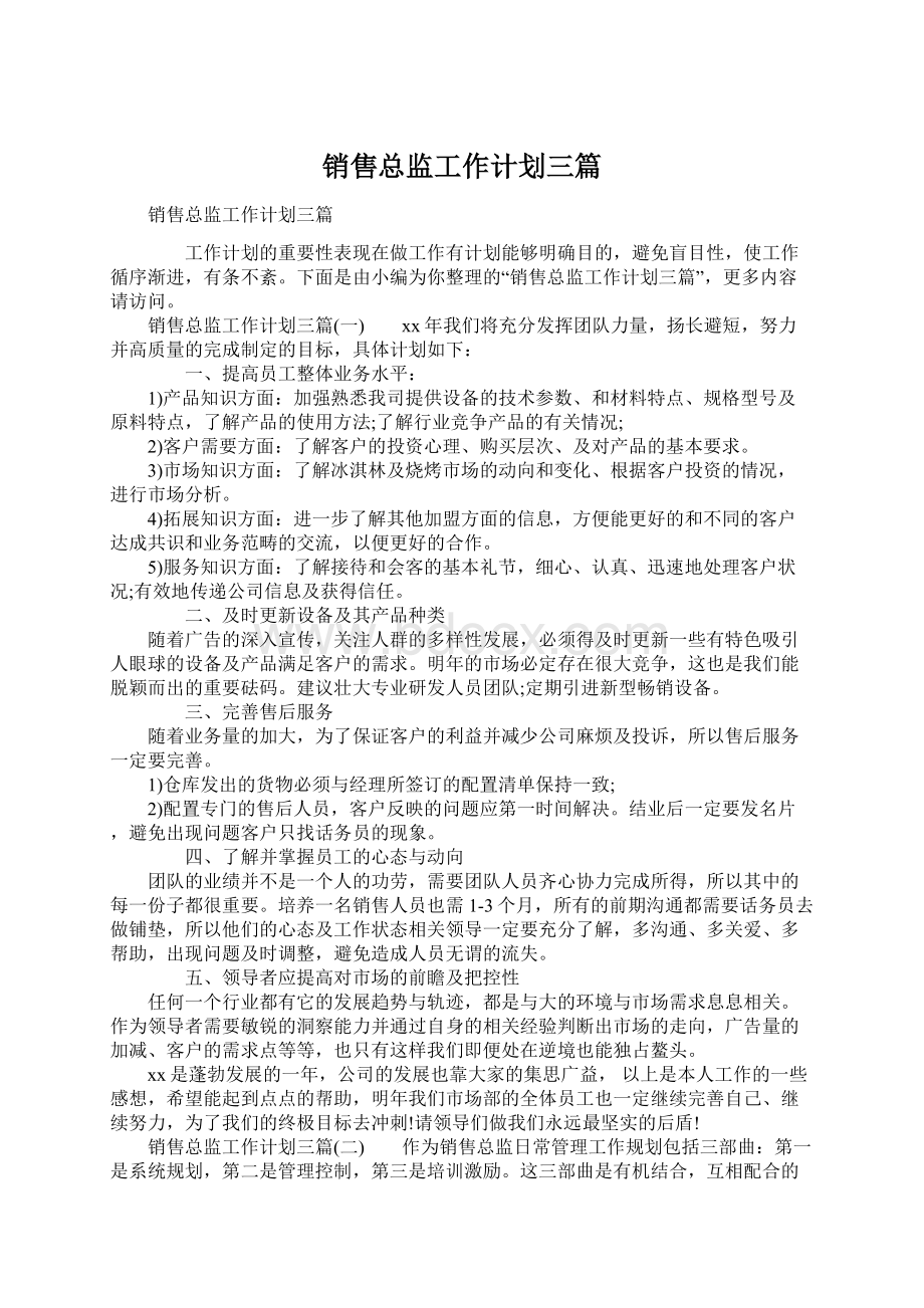 销售总监工作计划三篇Word下载.docx_第1页