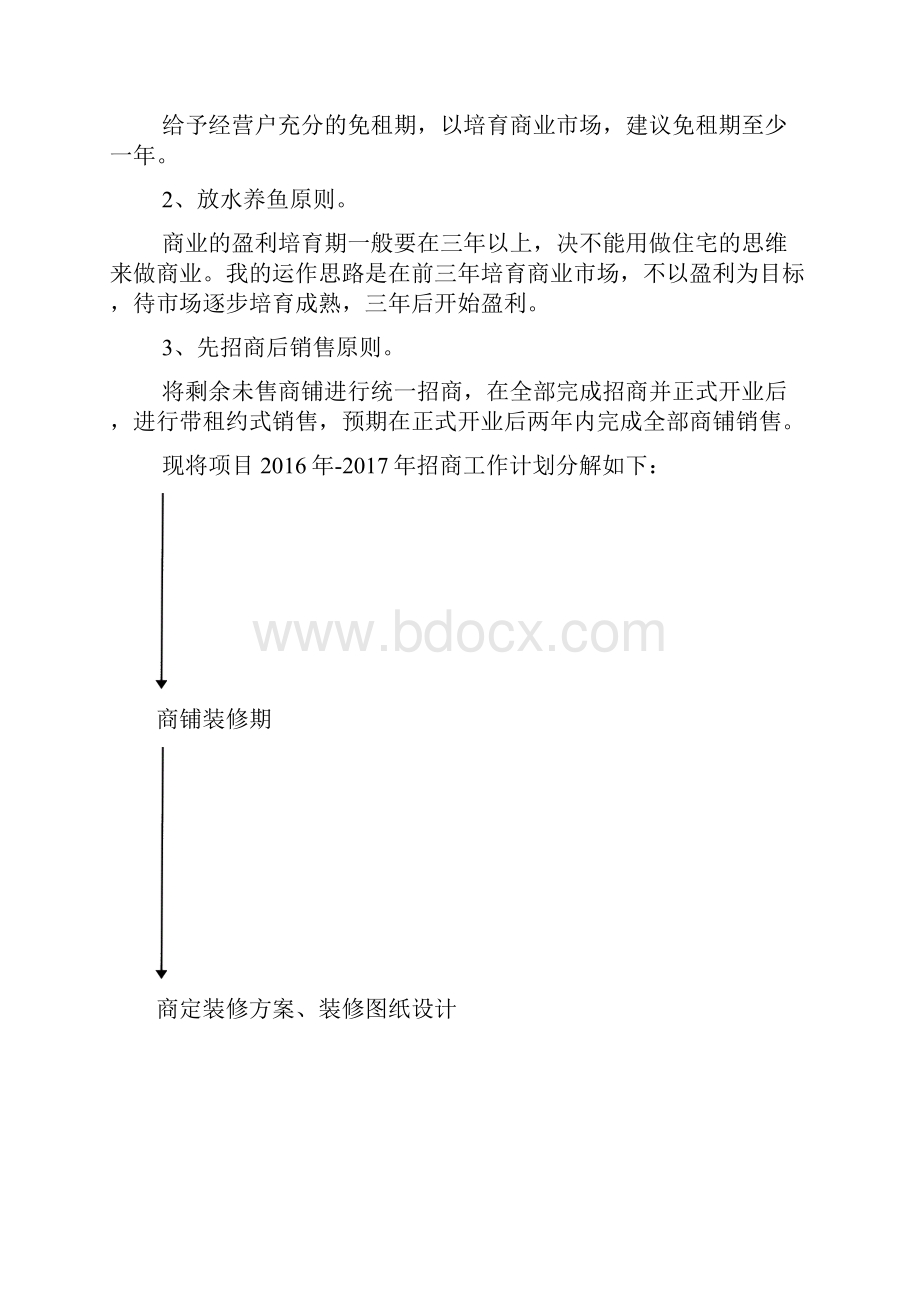 山东寿光市中阳商业街招商运营策划.docx_第2页