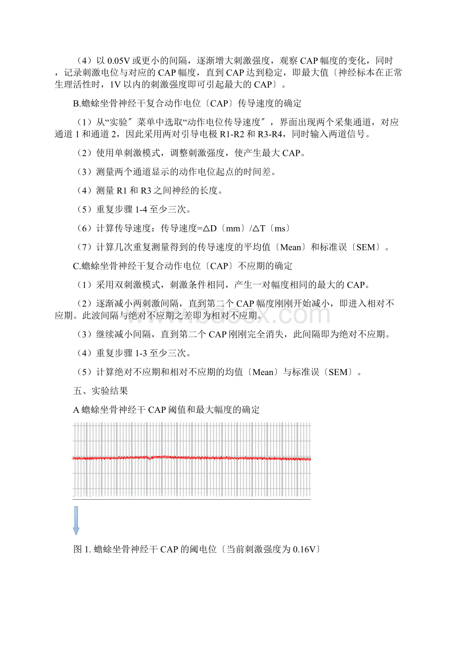 生理实验报告神经干复合动作电位Word格式文档下载.docx_第3页