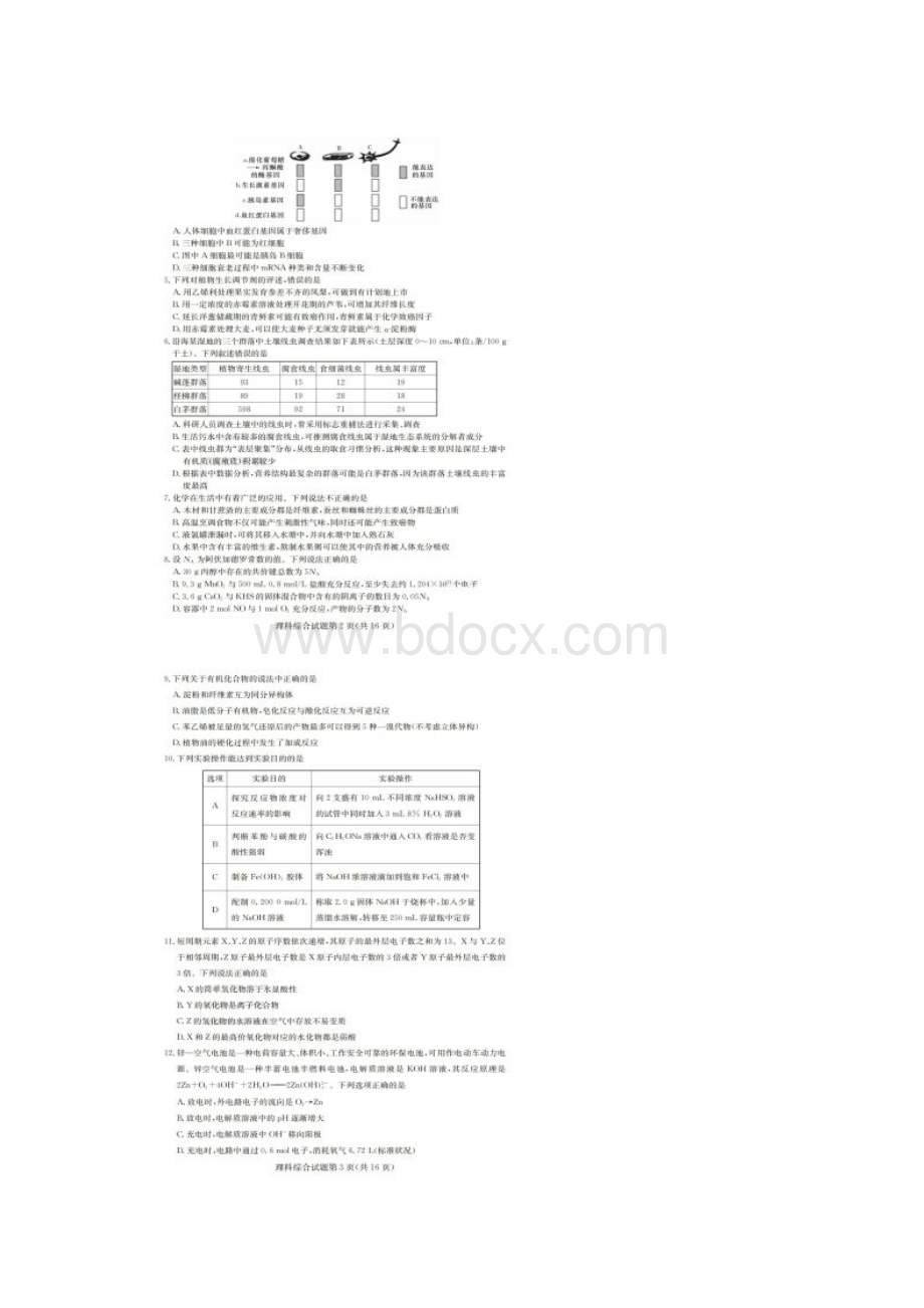 湖南省师范大学附属中学届高三考前演练四理科综合试题图片版无答案.docx_第2页