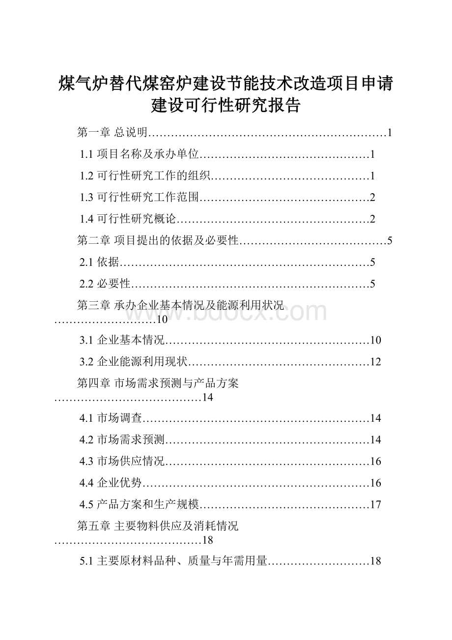 煤气炉替代煤窑炉建设节能技术改造项目申请建设可行性研究报告.docx_第1页