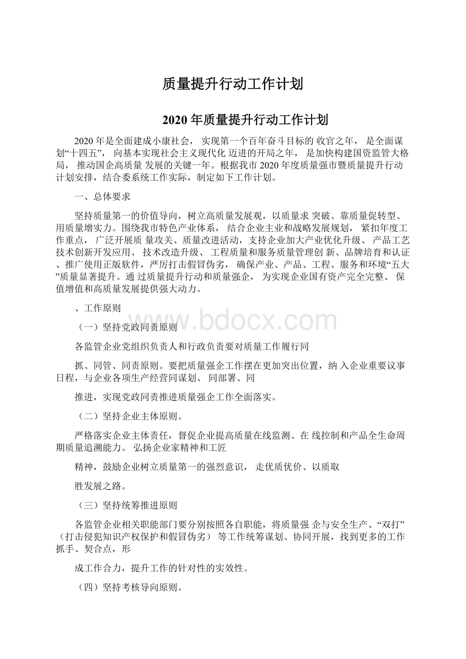 质量提升行动工作计划文档格式.docx_第1页