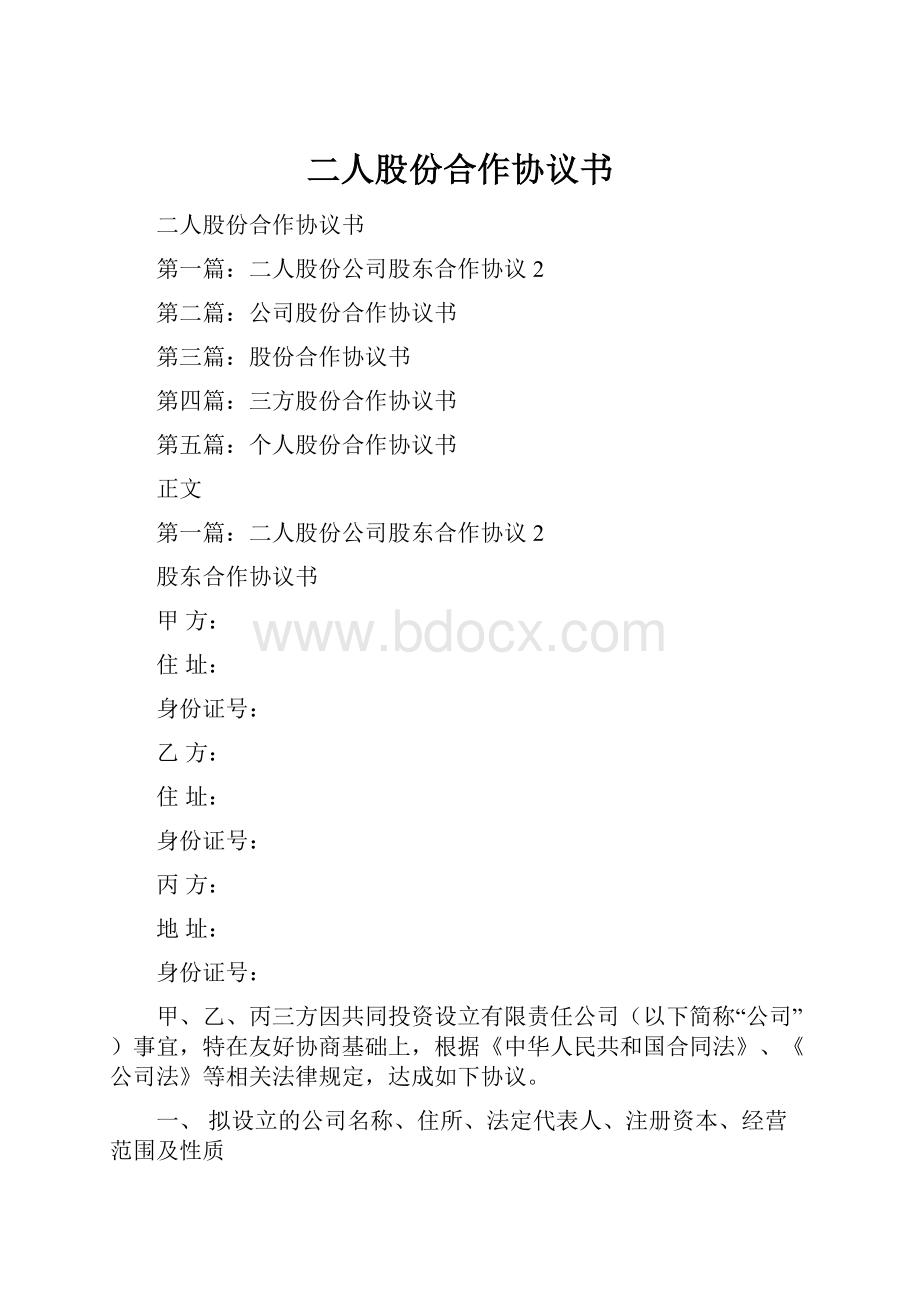 二人股份合作协议书.docx