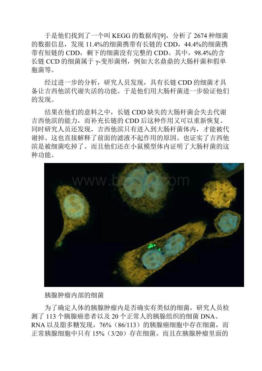 抗药被肿瘤吃了.docx_第3页