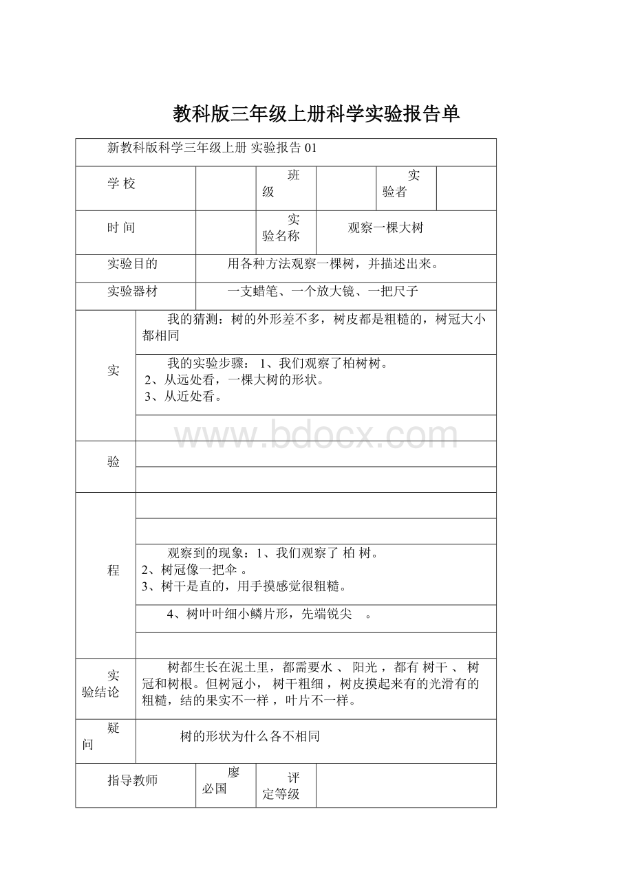 教科版三年级上册科学实验报告单.docx