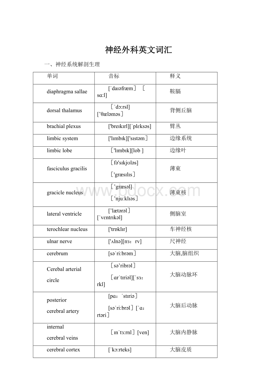 神经外科英文词汇Word格式文档下载.docx