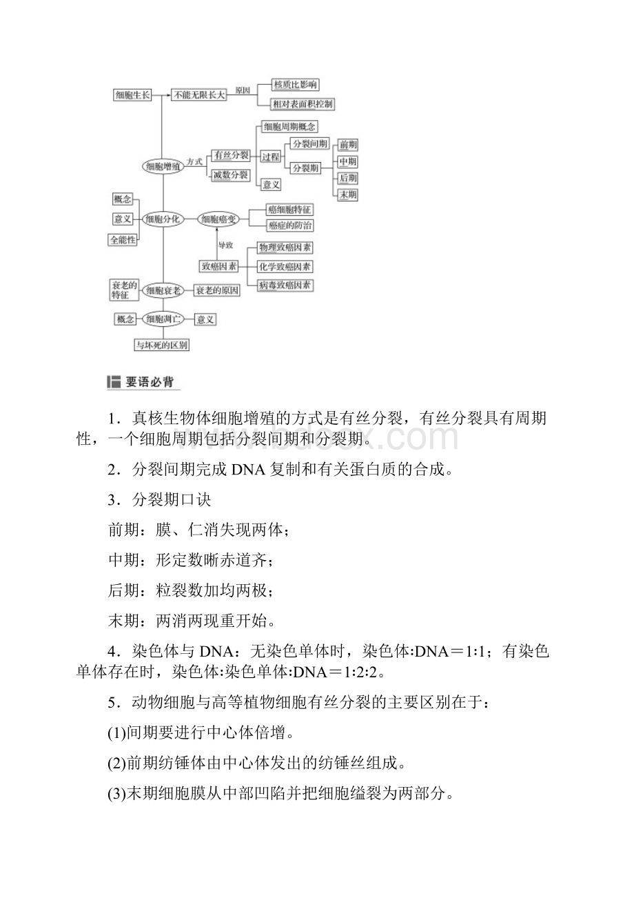 版高中生物 第四章 细胞的增殖与分化章末总结学案 浙科版必修1.docx_第2页