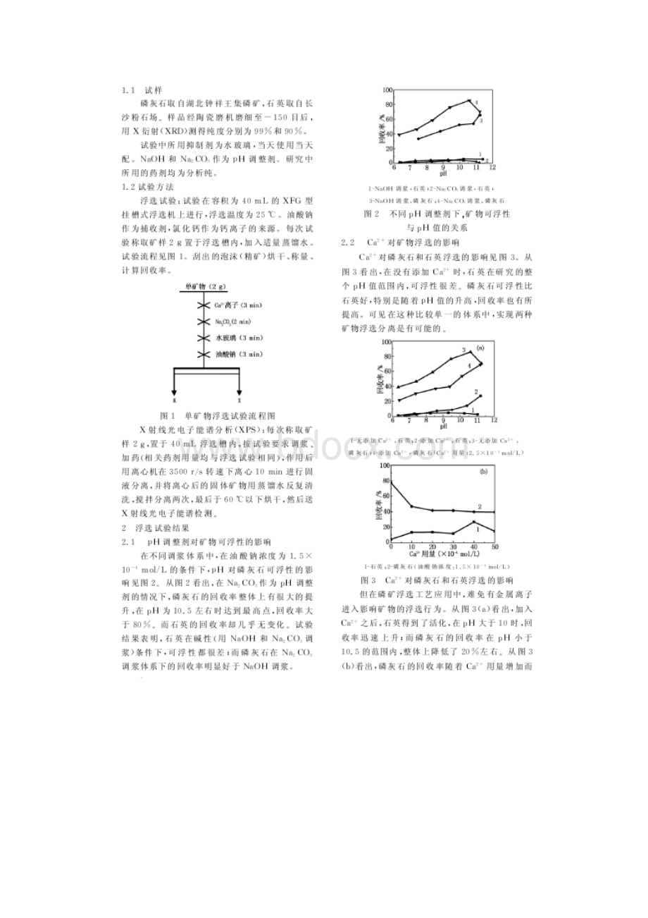 云南某难选铅矿选矿试验研究.docx_第2页