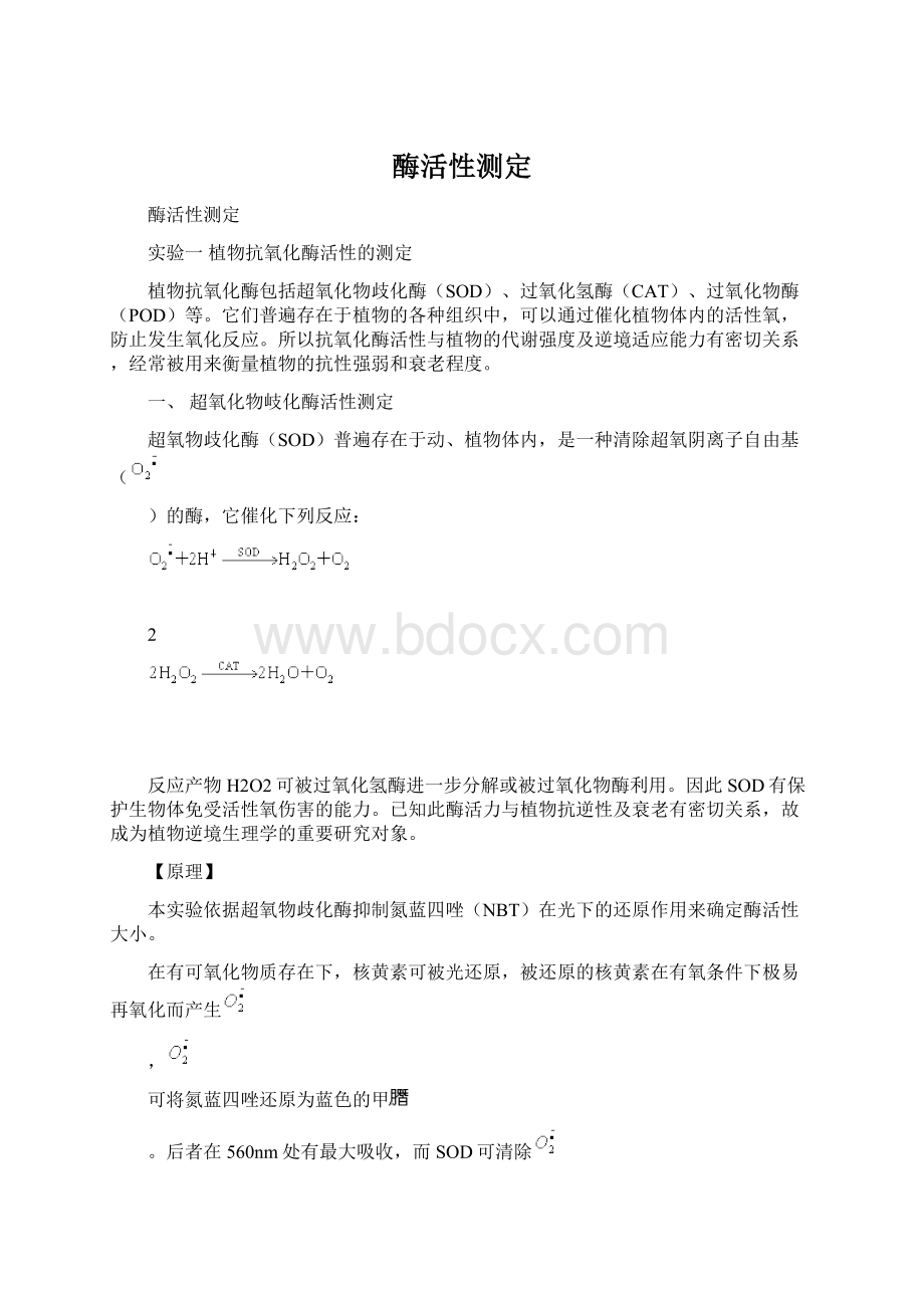 酶活性测定文档格式.docx