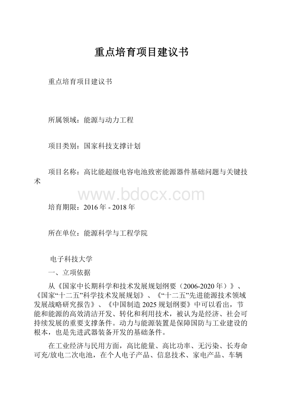 重点培育项目建议书文档格式.docx