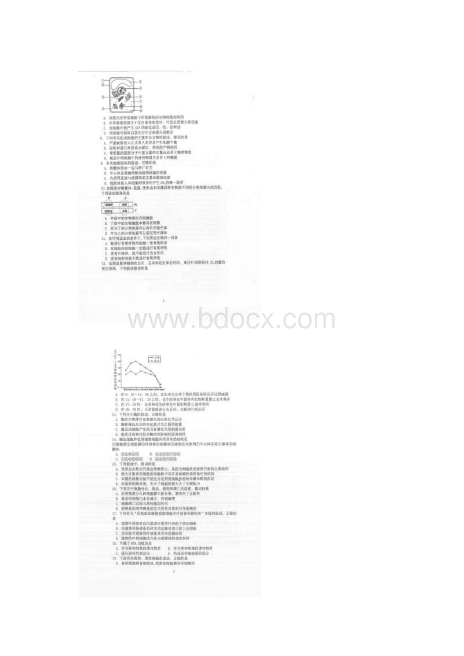 学年重庆市第一中学高二上学期期末考试生物试题图片版Word下载.docx_第2页